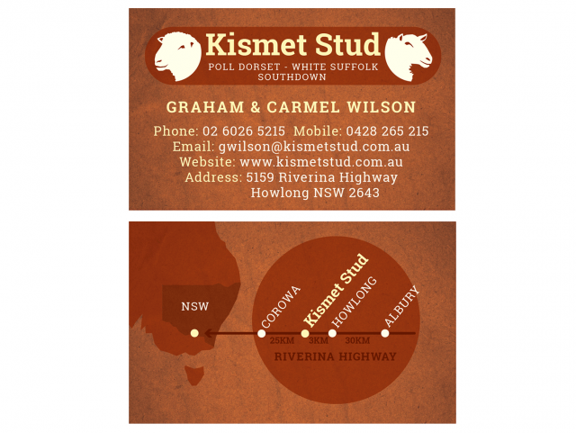 Business Card Design - Kismet Stud