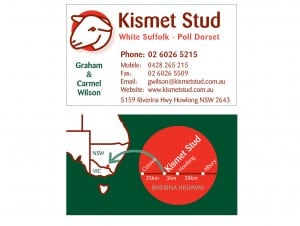 Business Card Design - Kismet Stud