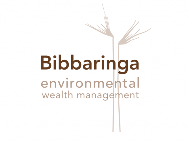 Logo Design - Bibbaringa