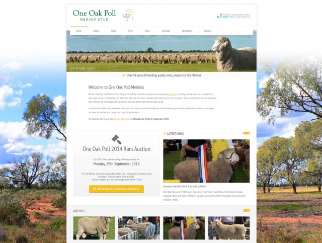 Website Designers Wallan - One Oak MerinoStud